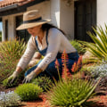 Seasonal Landscaping Tips for San Diego Homeowners